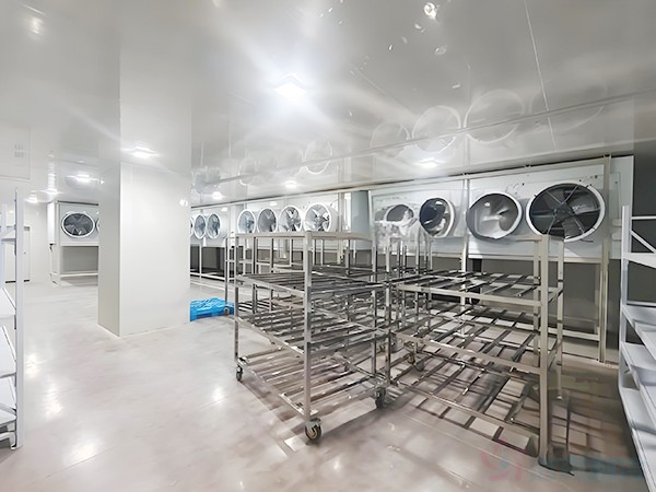 速凍冷庫(kù)造價(jià)