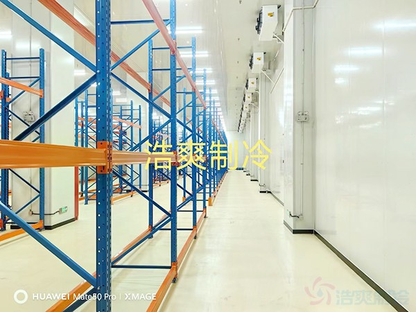 三類醫(yī)療要求冷凍室和冷藏室多大？造價(jià)預(yù)算多少錢？