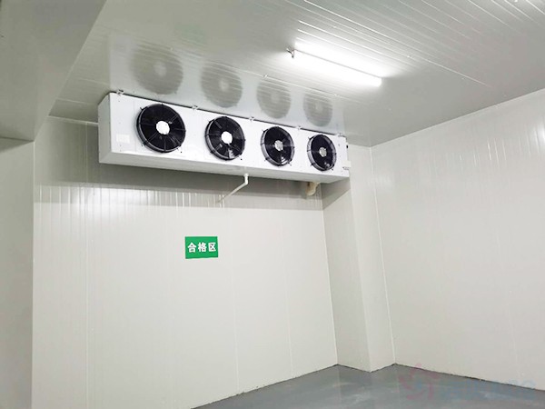 獸用生物制品冷庫面積需要建多大？造價預(yù)算多少錢