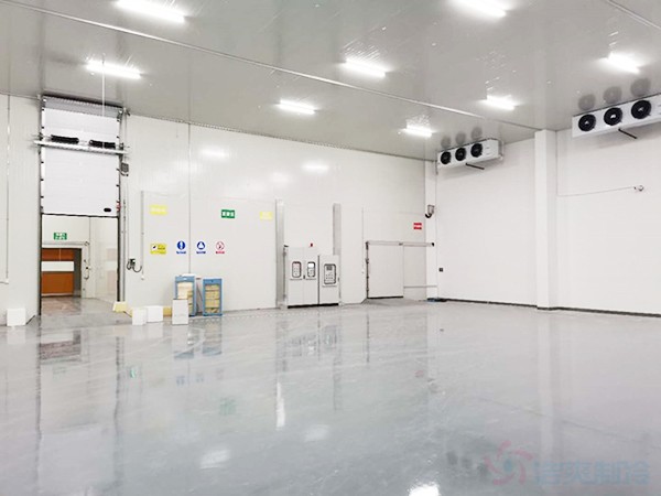獸用生物制品冷庫面積需要建多大？造價預(yù)算多少錢