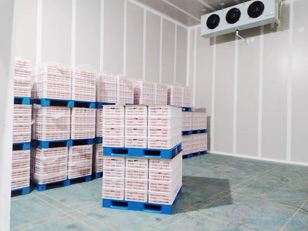 生果保鮮冷庫(kù)建造價(jià)格多少錢(qián)？生果保鮮冷庫(kù)造價(jià)表