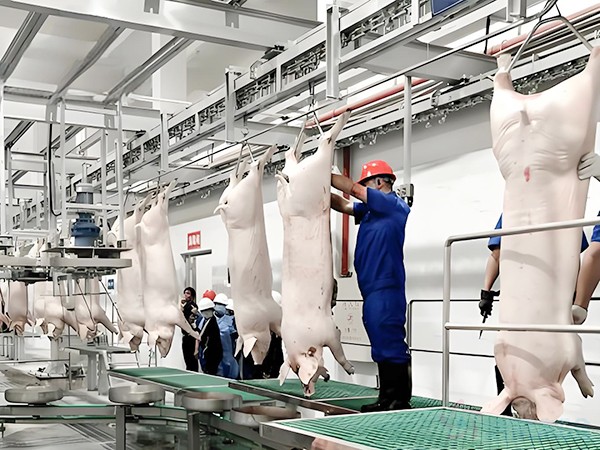 畜禽屠宰冷庫和肉類低溫冷庫的造價區(qū)別