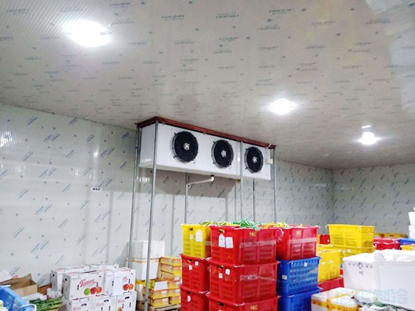 蘋(píng)果冷藏庫(kù)建設(shè)費(fèi)用一平方多少錢(qián)?