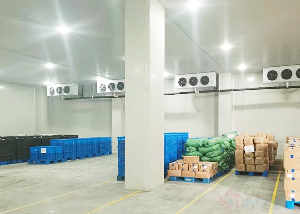 8000立方大型食品冷庫造價(jià)