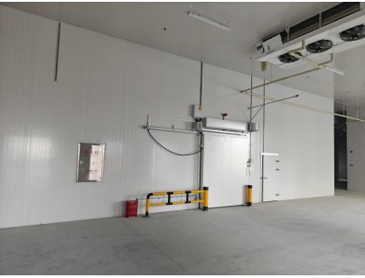 四川眉山35000立方米食品儲(chǔ)藏加工配套冷鏈物流冷庫(kù)建造工程