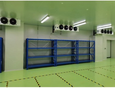 成都康諾亞一橋生物科技公司創(chuàng)新醫(yī)藥冷庫建設工程案例