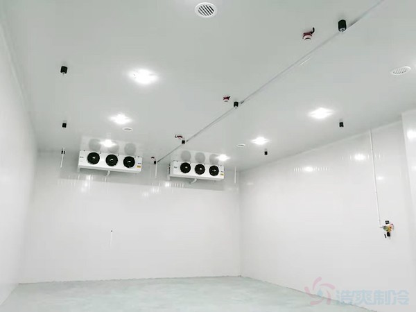 上海啤酒冷藏庫建設(shè)