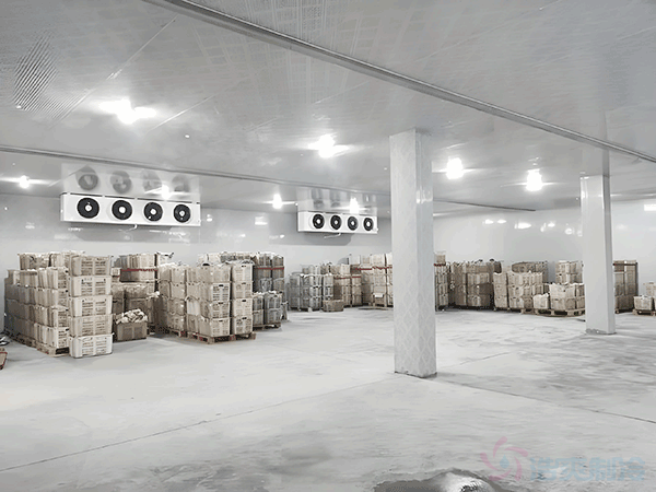 上海茶葉冷庫(kù)安裝