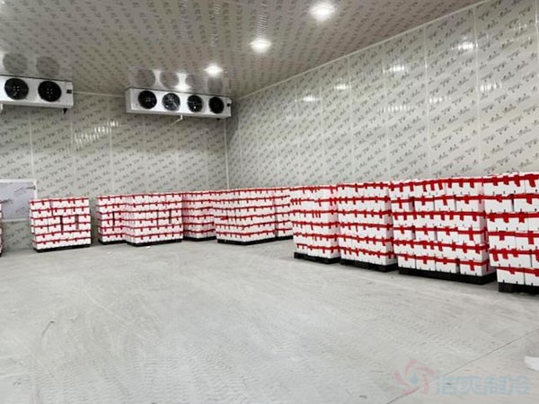 湖南果蔬氣調保鮮冷庫設計