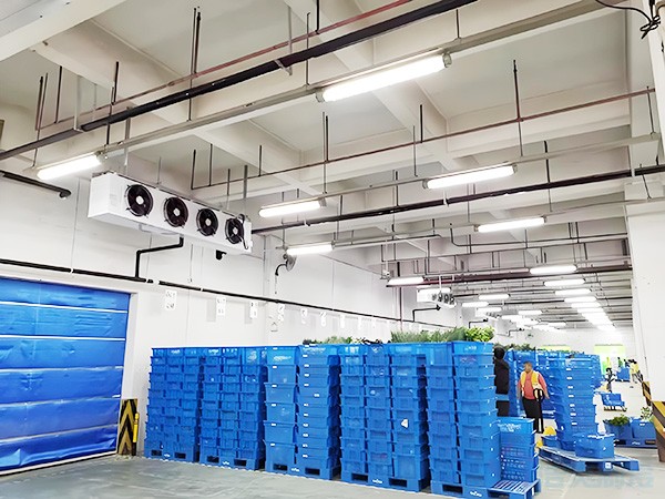 湖南冷庫建造補貼標(biāo)準(zhǔn)