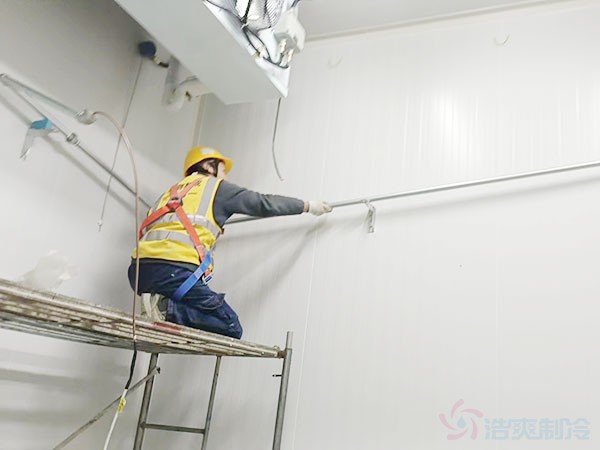 江西小型肉品冷庫(kù)保養(yǎng)