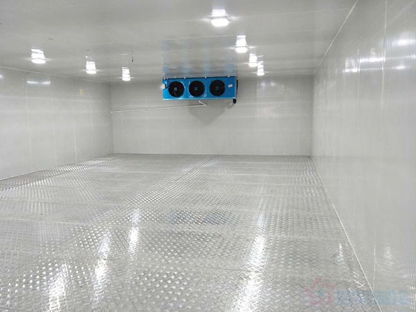 銅陵疾控自動(dòng)化冷庫溫度標(biāo)準(zhǔn)