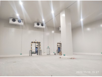 江蘇灌南京東35000m3電商物流園冷庫(kù)建造工程案例