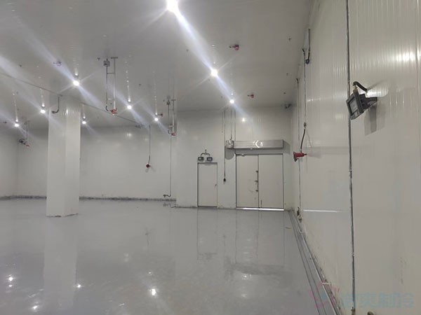 防爆醫(yī)藥冷庫設(shè)計