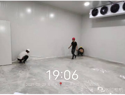 四川桑枝食用菌現(xiàn)代農(nóng)業(yè)園區(qū)氣調(diào)保鮮冷庫工程建造案例