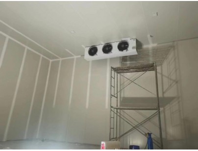 浙江仙居股份經(jīng)濟合作社羊肚菌氣調(diào)保鮮冷庫建造工程案