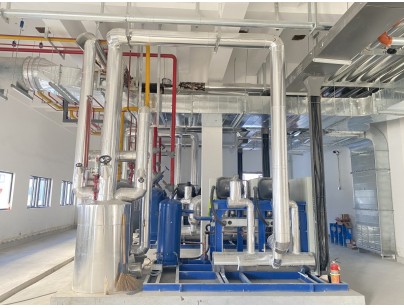 杭州盒馬48000m3生鮮配送型冷鏈物流園冷庫建造工程案例