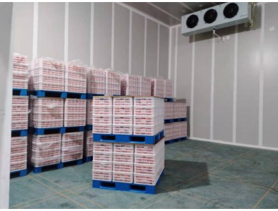 湖州練美農(nóng)業(yè)果蔬產(chǎn)地型氣調(diào)冷庫建造工程案例