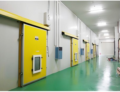 湖州練美農(nóng)業(yè)果蔬產(chǎn)地型氣調(diào)冷庫建造工程案例