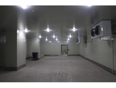 我廚（上海）生鮮果蔬凈菜加工冷庫工程建造案例