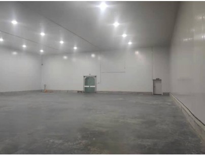 新疆伊寧78525m3保稅區(qū)冷鏈物流園大型冷庫建造工程