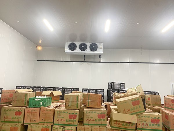 蘋果冷庫(kù)建設(shè)費(fèi)用