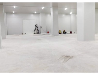 深圳望家歡智慧產(chǎn)業(yè)園一期大型食品冷庫(kù)建造工程案例