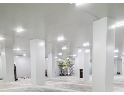 深圳望家歡智慧產(chǎn)業(yè)園一期大型食品冷庫(kù)建造工程案例