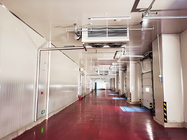 3千噸冷庫建設(shè)